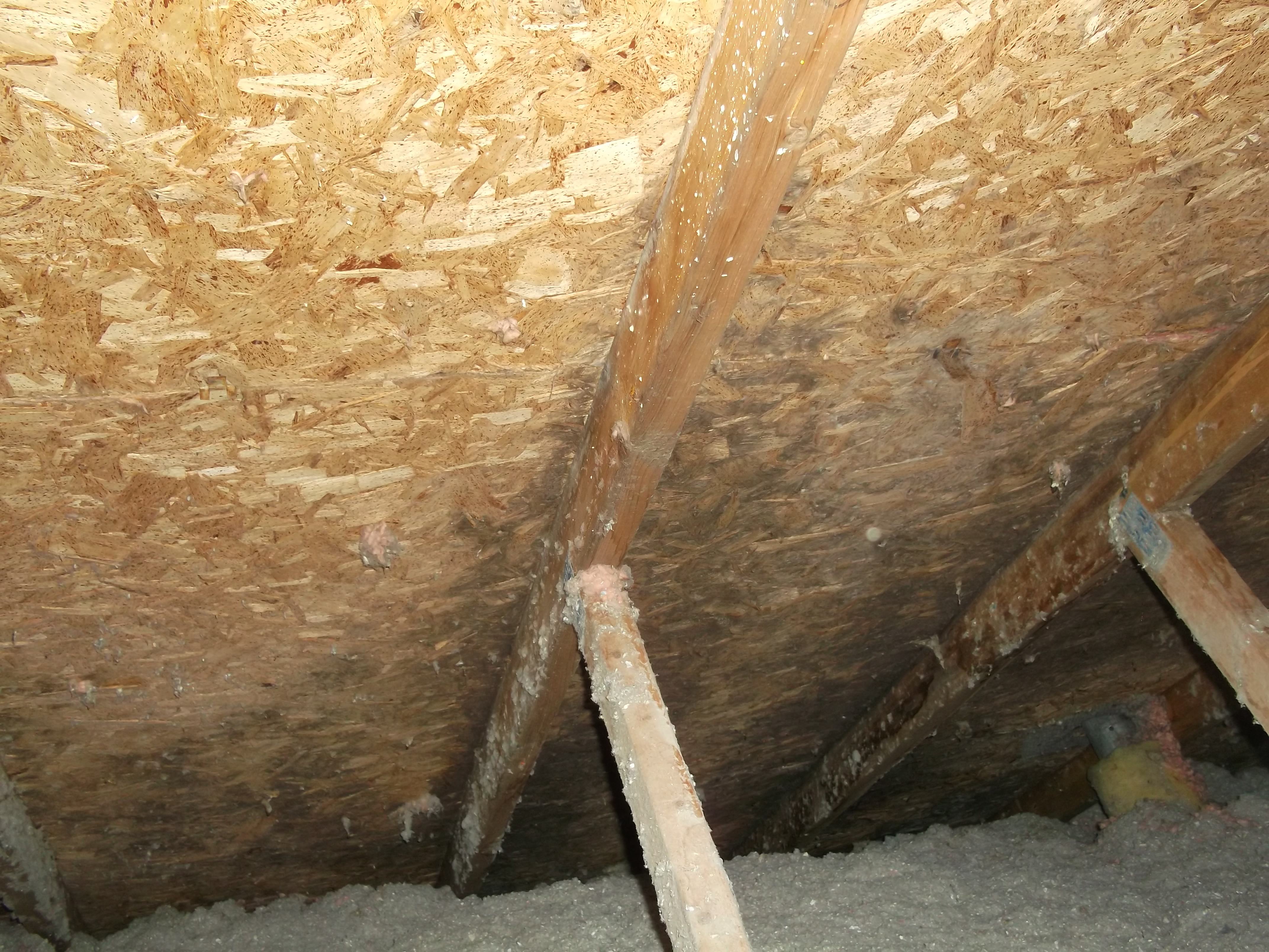 How to clean Mold growing in your home York Restoration 24/7